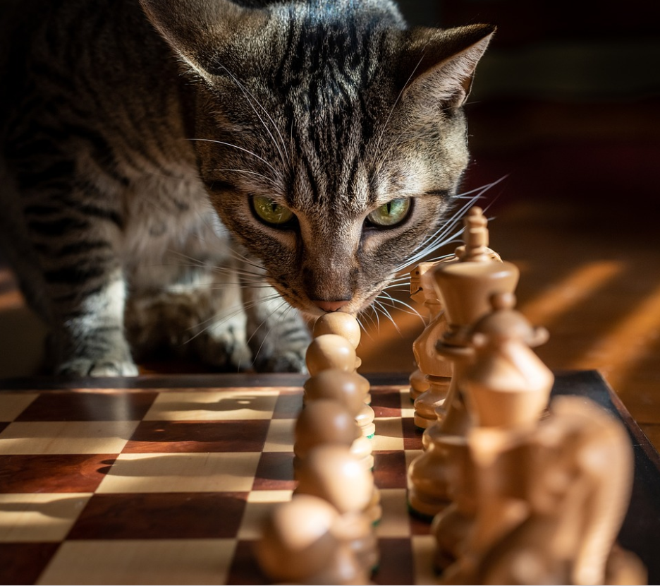 Strategiearbeit mit klarer Zielrichtung