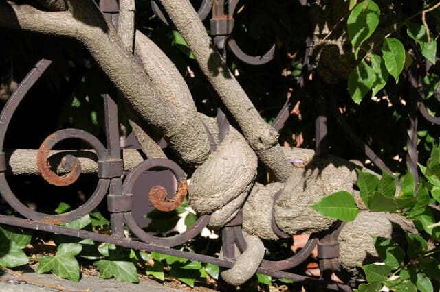 Viel Energie, wenig Ergebnis